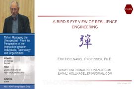Erik Hollnagel